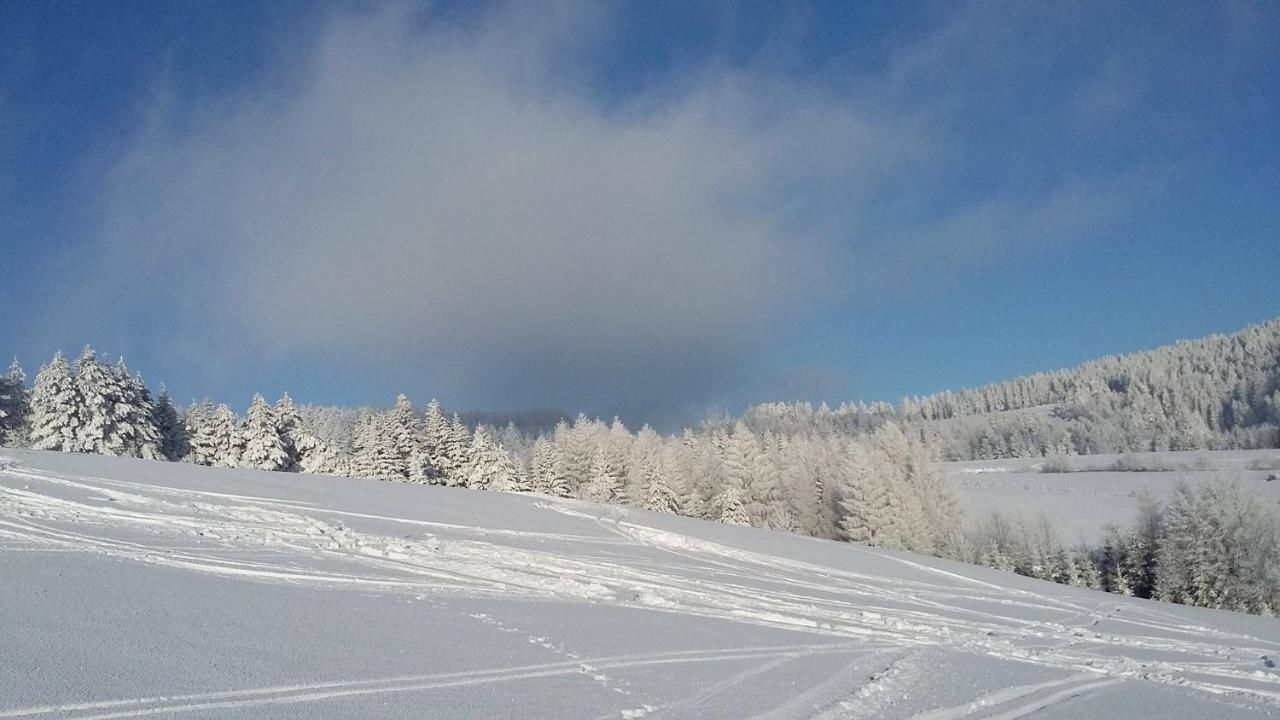 Проживание в семье Domek nad Potokiem Słotwiny-35